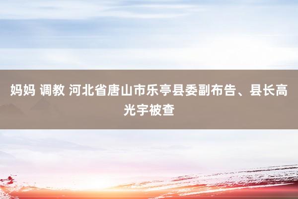 妈妈 调教 河北省唐山市乐亭县委副布告、县长高光宇被查