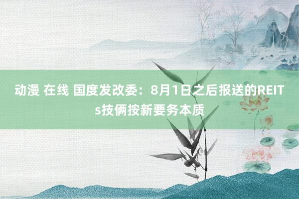 动漫 在线 国度发改委：8月1日之后报送的REITs技俩按新要务本质