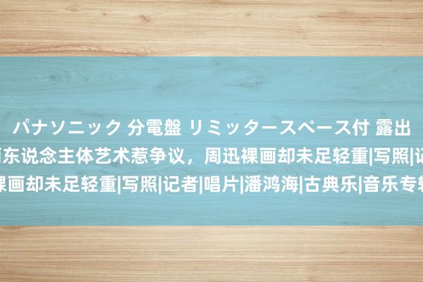 パナソニック 分電盤 リミッタースペース付 露出・半埋込両用形 汤加丽东说念主体艺术惹争议，周迅裸画却未足轻重|写照|记者|唱片|潘鸿海|古典乐|音乐专辑