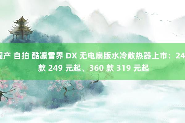 国产 自拍 酷凛雪界 DX 无电扇版水冷散热器上市：240 款 249 元起、360 款 319 元起