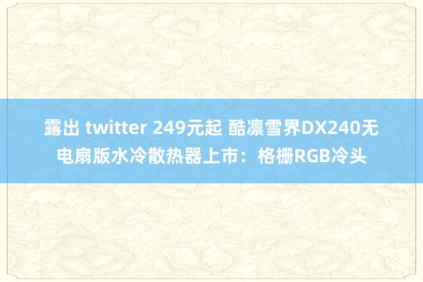 露出 twitter 249元起 酷凛雪界DX240无电扇版水冷散热器上市：格栅RGB冷头